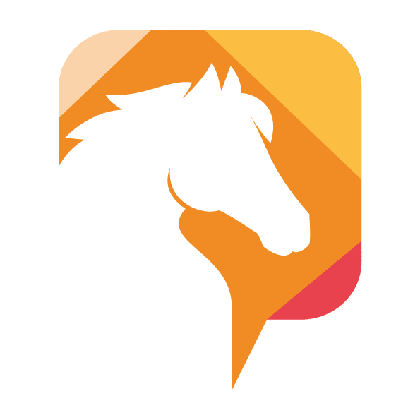 Equitannonce annonces chevaux