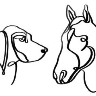 Illustration sans titre